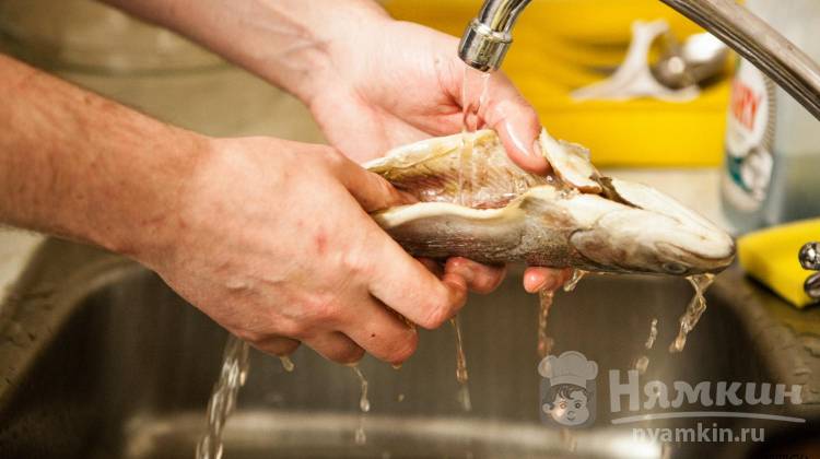 Запах рыбы на одежде: как эффективно вывести и отстирать
