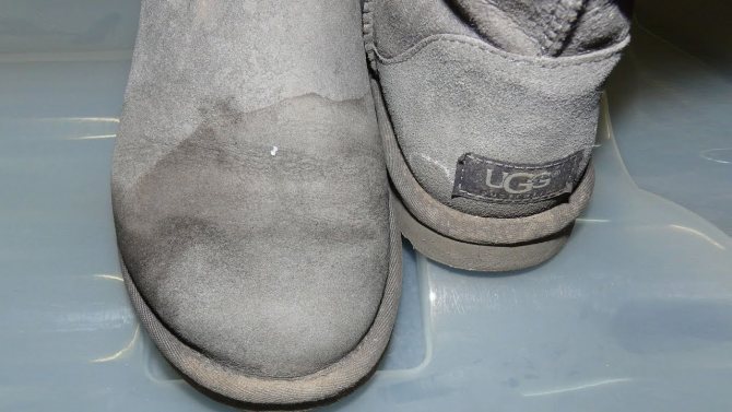 Чистим замшевую обувь в домашних условиях: пятна и разводы