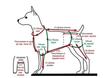 Интересные мастер-классы и простые выкройки комбинезонов для собак