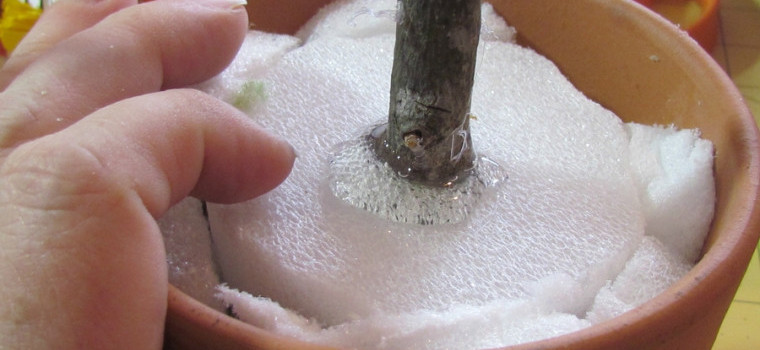 Топиарий из шишек: делаем дерево из осенних даров природы