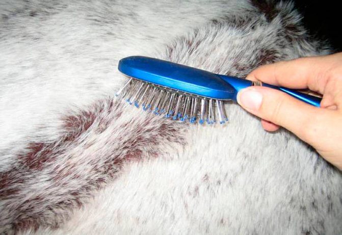 Как почистить мех кролика в домашних условиях: воротник, шубу и шапку