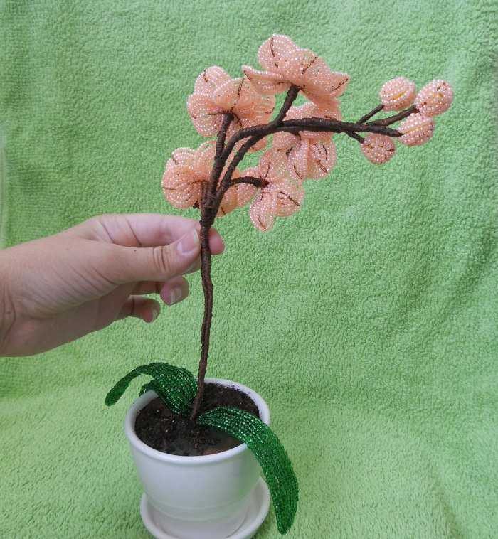 Орхидея из бисера ❀ техники и пошаговый мастер класс ❀ 15 идей