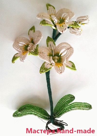 Орхидея из бисера. Мастер-класс с пошаговым фото для начинающих