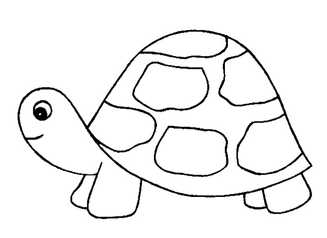 Шаблон черепаха-1