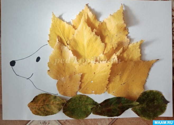 Занятие по аппликации из осенних листьев в старшей группе «Осенний ёжик»