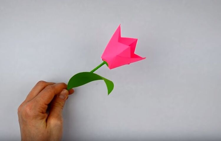 тюльпан из цветной бумаги