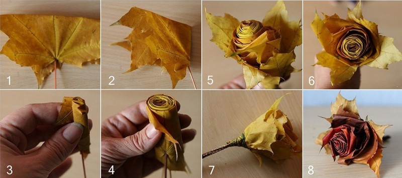 Как сделать розу из листьев: мастер-класс 