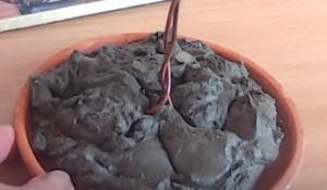 емкость для установки деревца