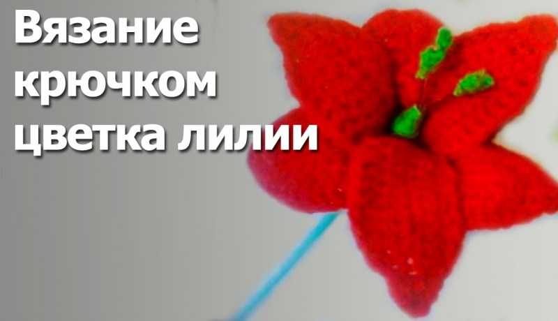 Вязаные цветы спицами и крючком - легкие схемы с описанием для начинающих