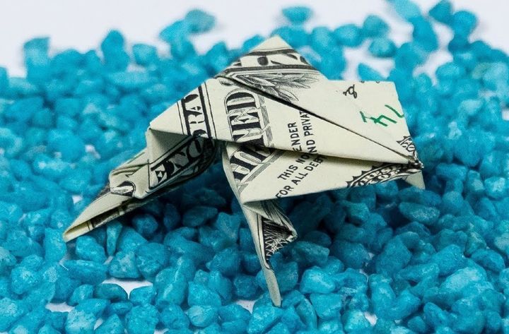 Лягушка-оригами из денег