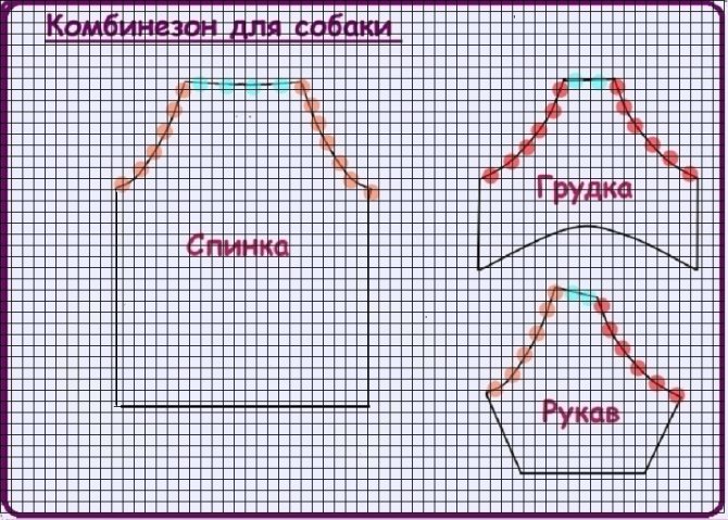 Комбинезон для маленькой собаки с рукавами реглан