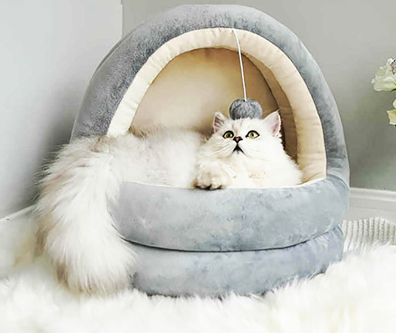Лежанка для кошки своими руками: выкройка, как сшить лежак с бортом