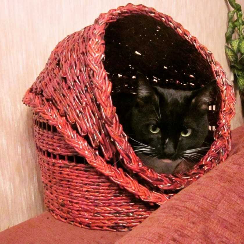 Лежанка для кошки своими руками: выкройка, как сшить лежак с бортом