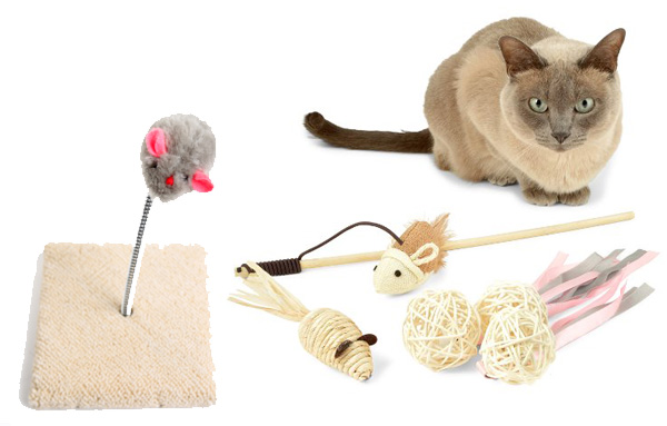Разнообразие игрушек для кошек
