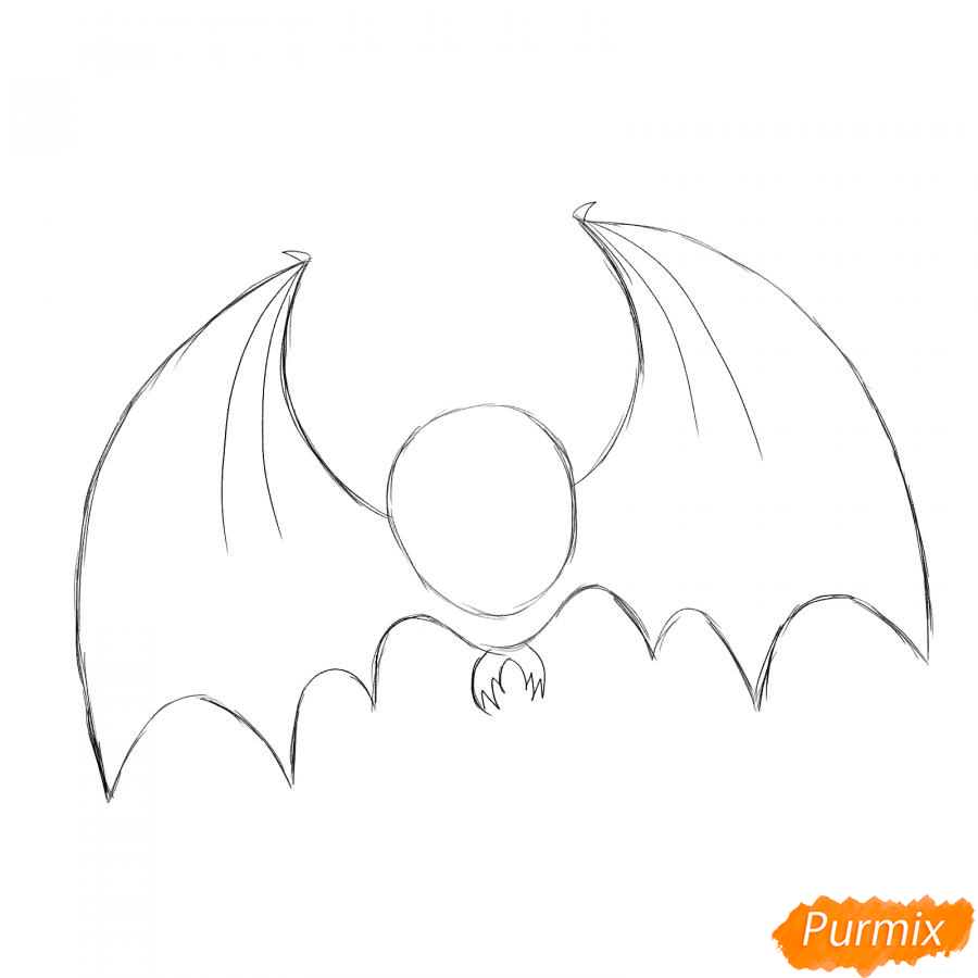 Рисуем страшную летучую мышь на Хэллоуин - шаг 2