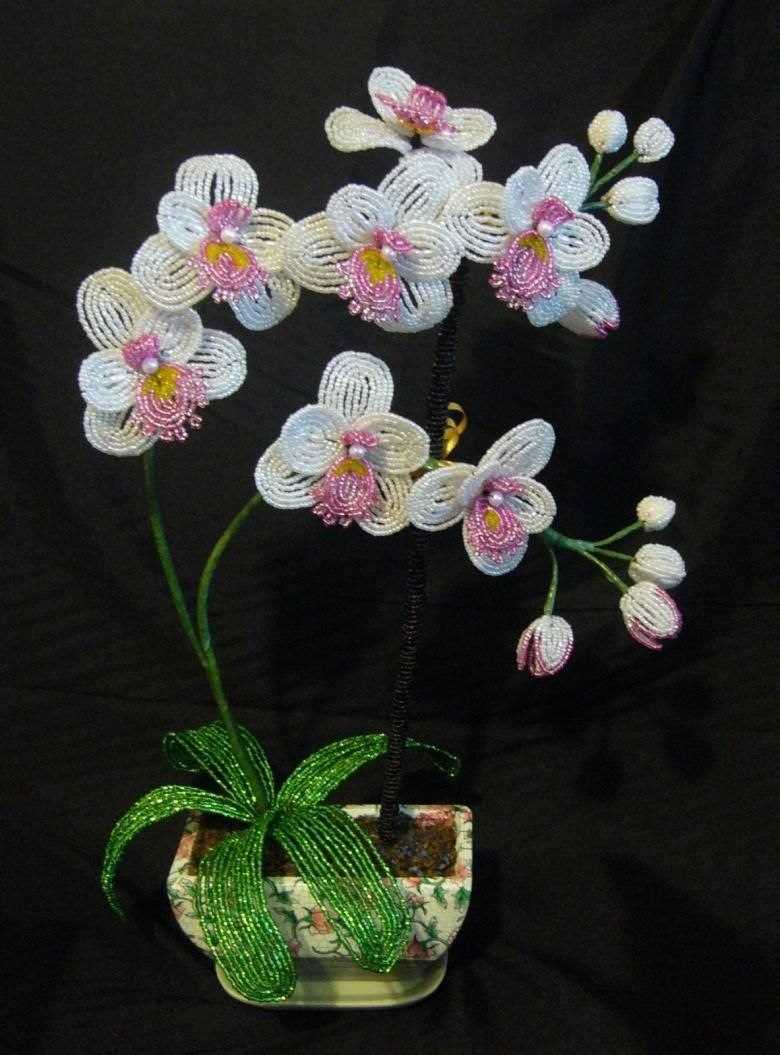 Орхидея из бисера: лучшие схемы плетения
