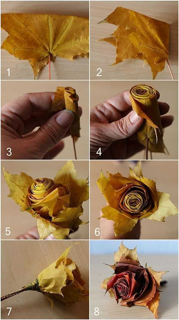 Как сделать розу из кленовых листьев?